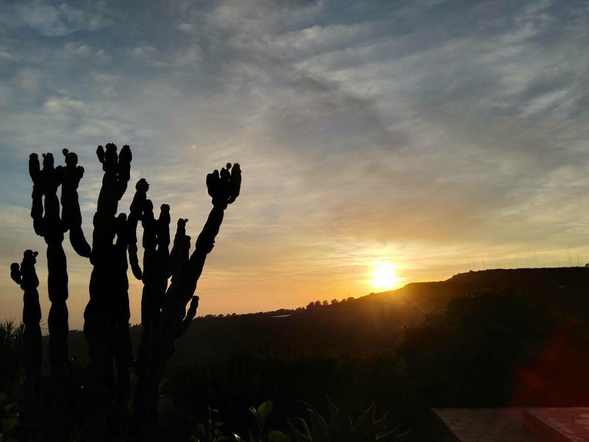 *****Finca Bella Vista Arucas Ngoại thất bức ảnh